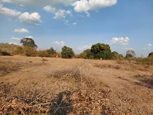 Shamba Ekari 17