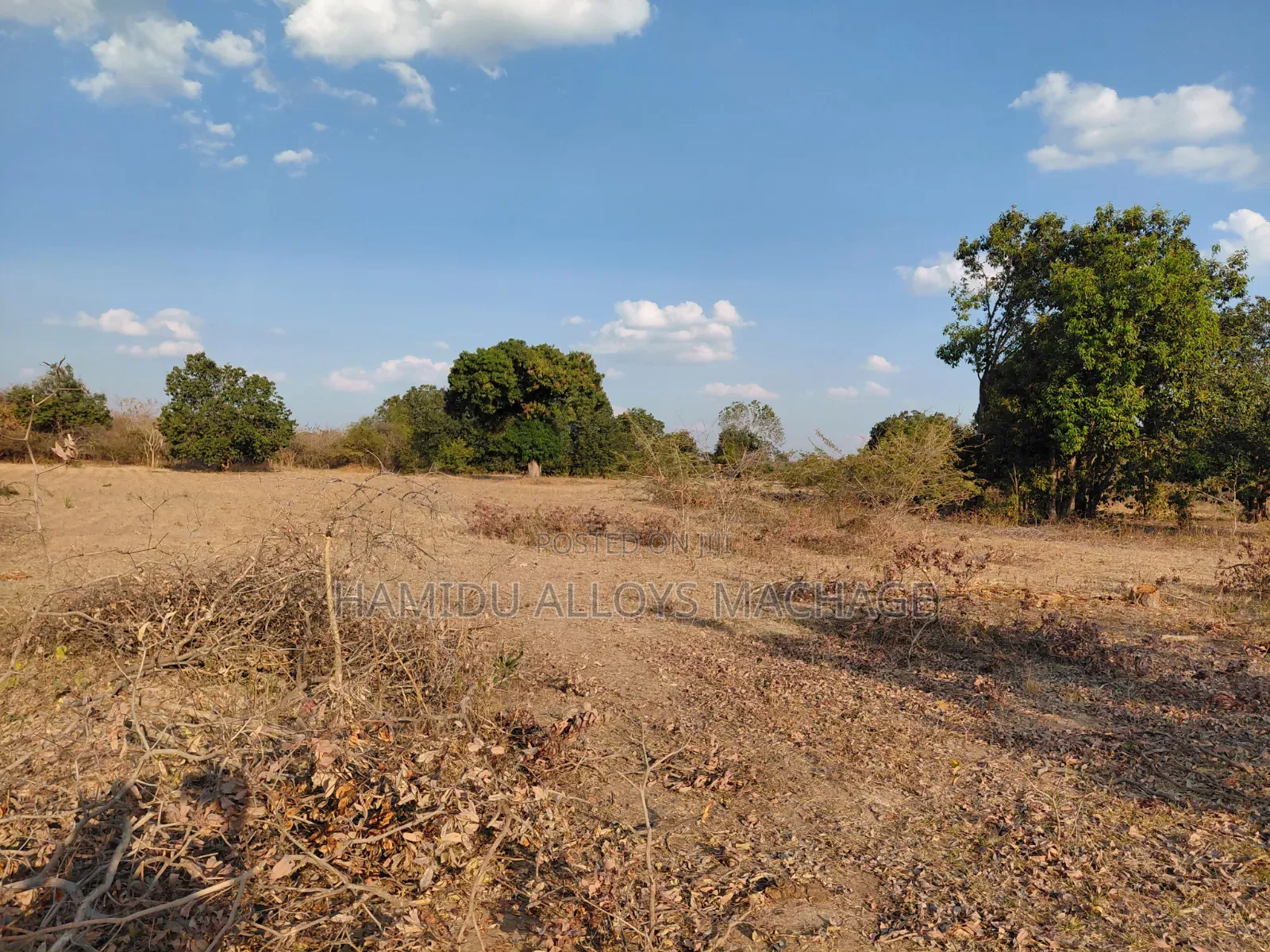 Shamba Ekari 17