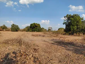 Shamba Ekari 17