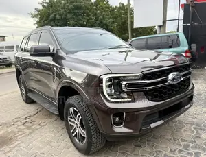Ford Everest 2023 Brown