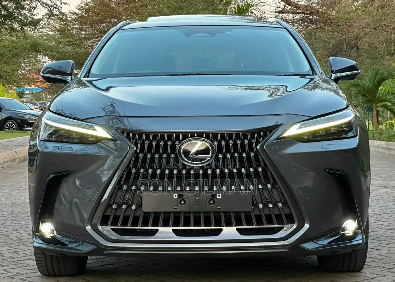 Lexus NX 2022 Gray