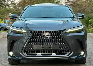 Lexus NX 2022 Gray