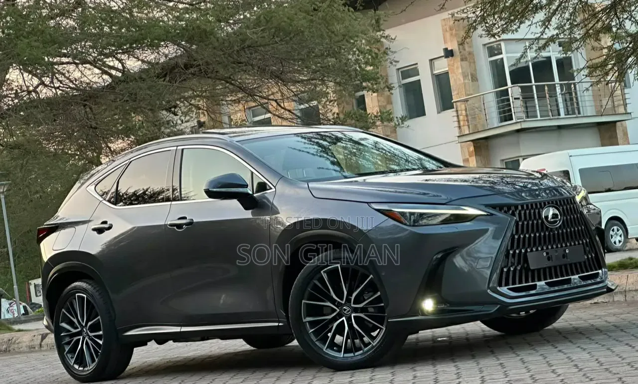 Lexus NX 2022 Gray