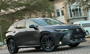Lexus NX 2022 Gray