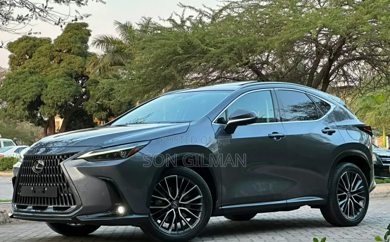Lexus NX 2022 Gray