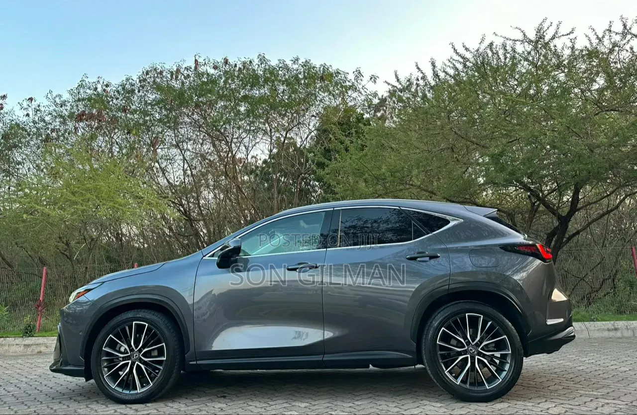 Lexus NX 2022 Gray