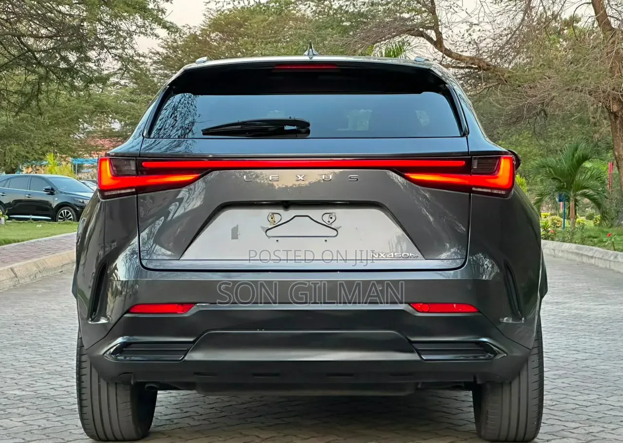 Lexus NX 2022 Gray