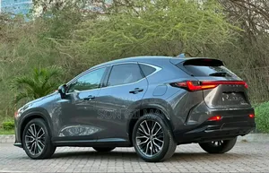 Lexus NX 2022 Gray