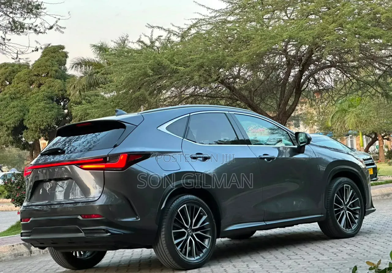 Lexus NX 2022 Gray