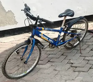 Mountain Bike