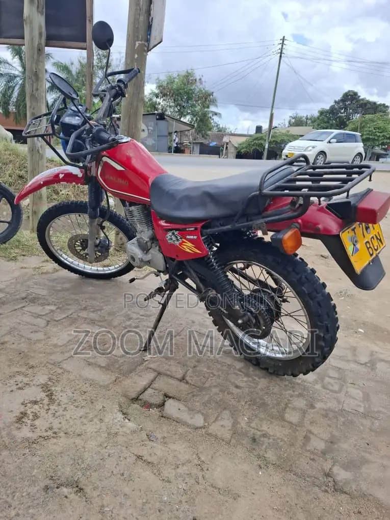Shineray XY250-7 2005 Red
