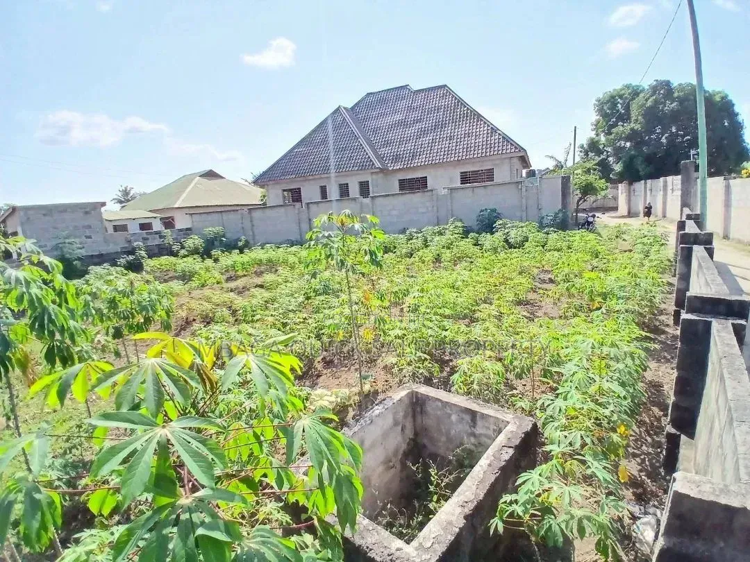 Plot Inauzwa Kinyerezi Kwa Ditopile