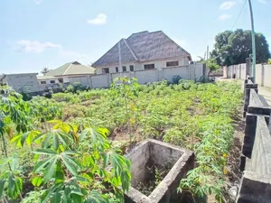 Plot Inauzwa Kinyerezi Kwa Ditopile