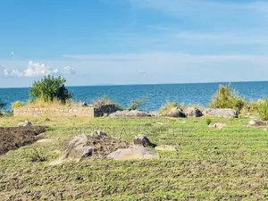 Beach Plot Inauzwa Kayenze - Sangabuye