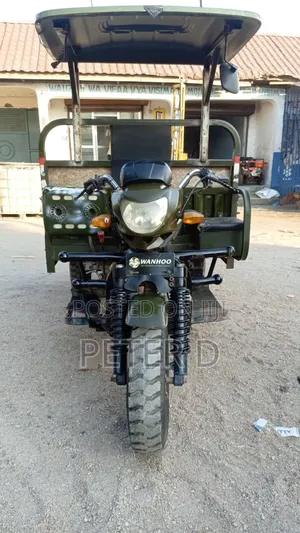 Bajaj Avenger 200 2025 Green