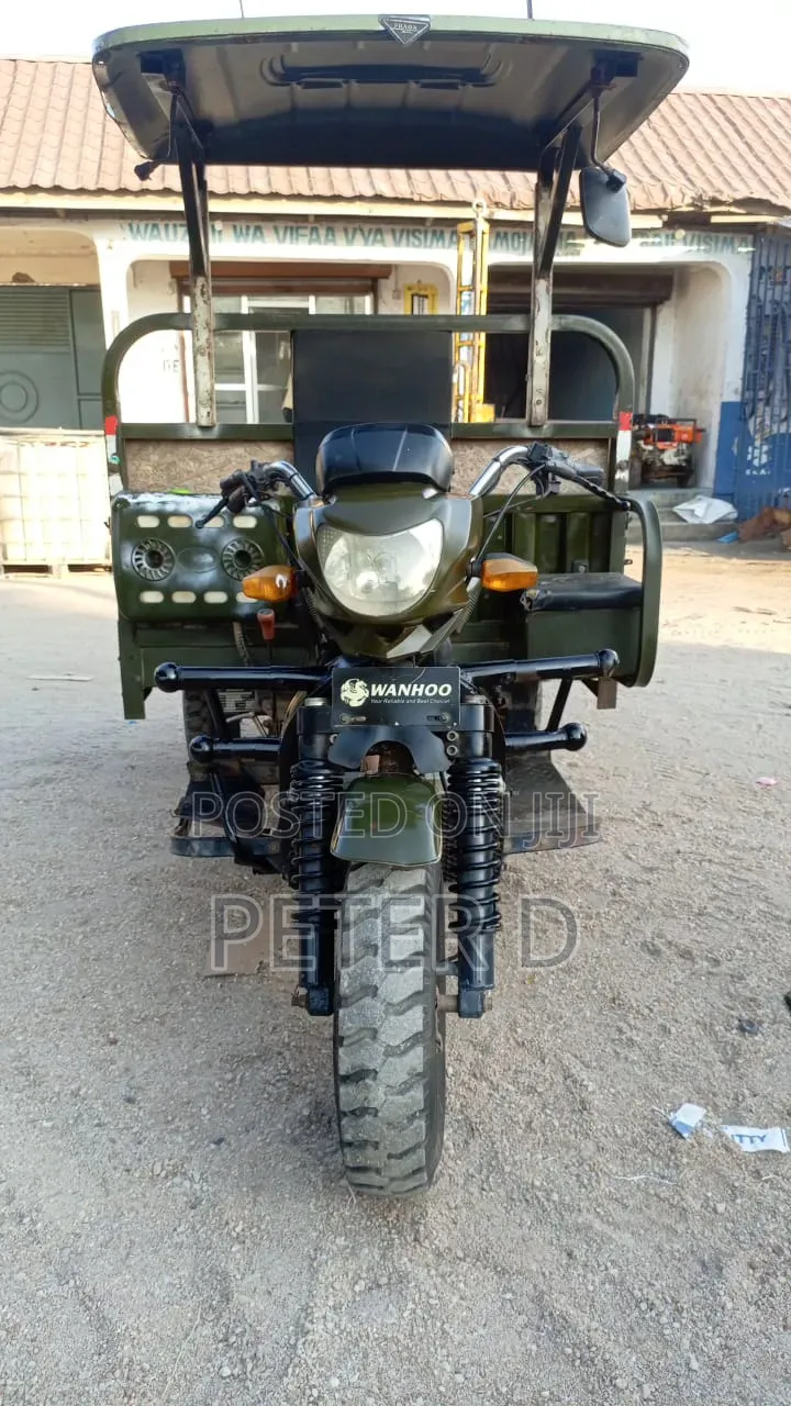 Bajaj Avenger 200 2025 Green