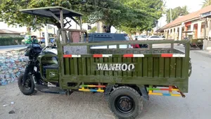 Bajaj Avenger 200 2025 Green