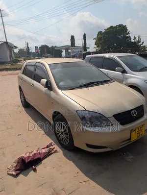 Toyota Corolla RunX 2007 Gold