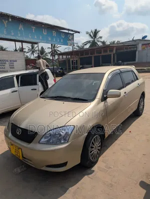Toyota Corolla RunX 2007 Gold