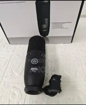 AKG P120 Professional Condenser Studio Microphone for Recording