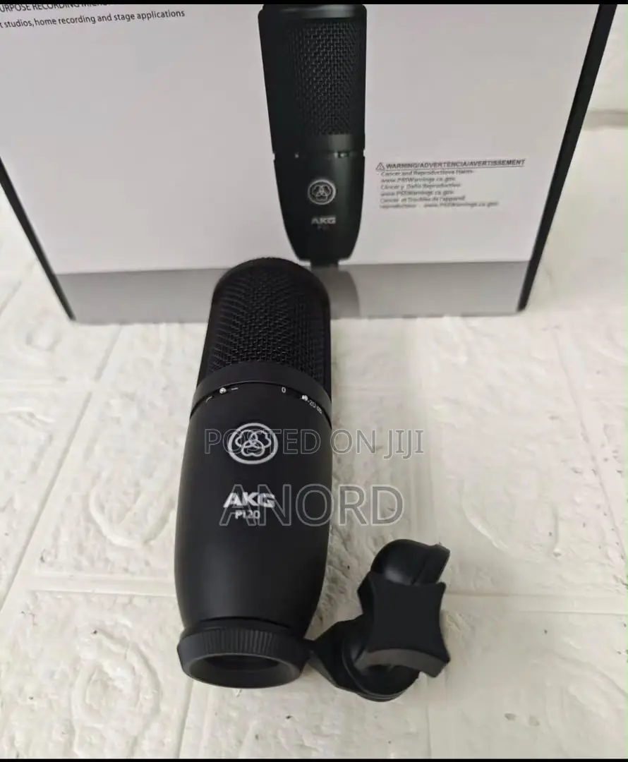 AKG P120 Professional Condenser Studio Microphone for Recording