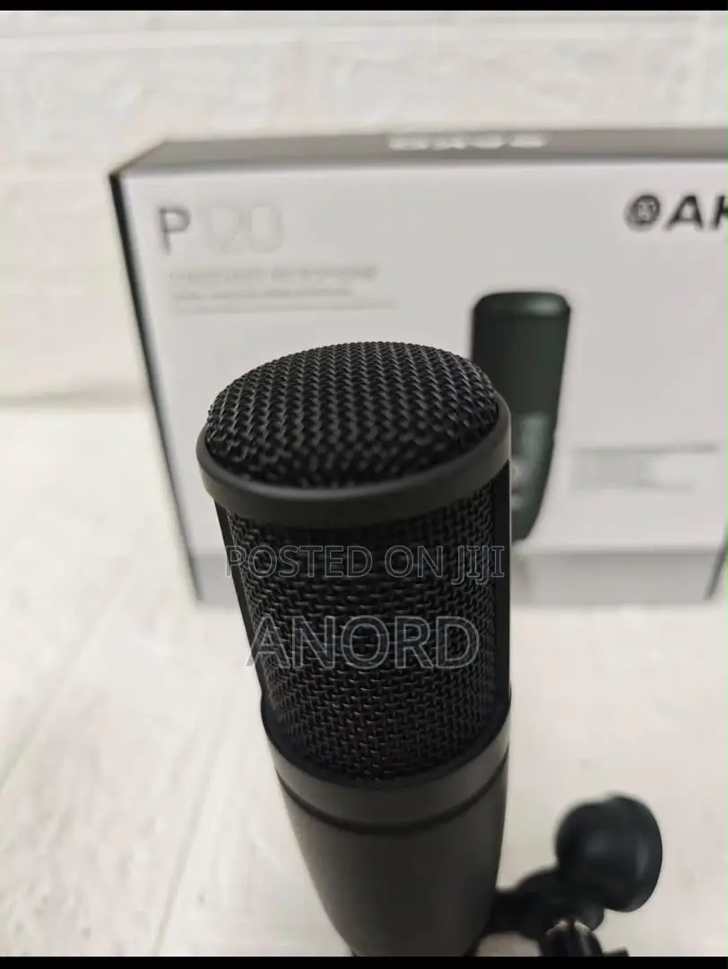 AKG P120 Professional Condenser Studio Microphone for Recording