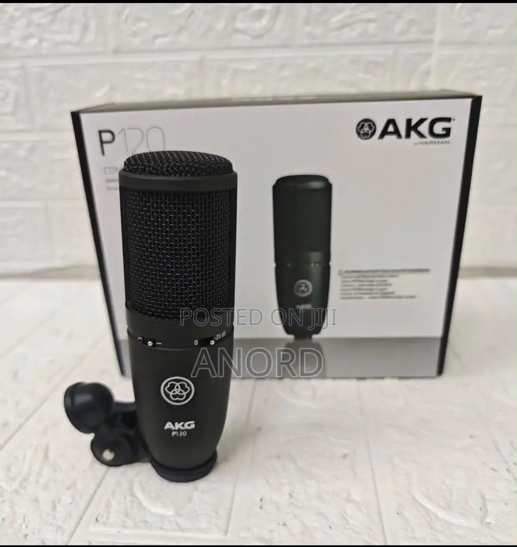 AKG P120 Professional Condenser Studio Microphone for Recording