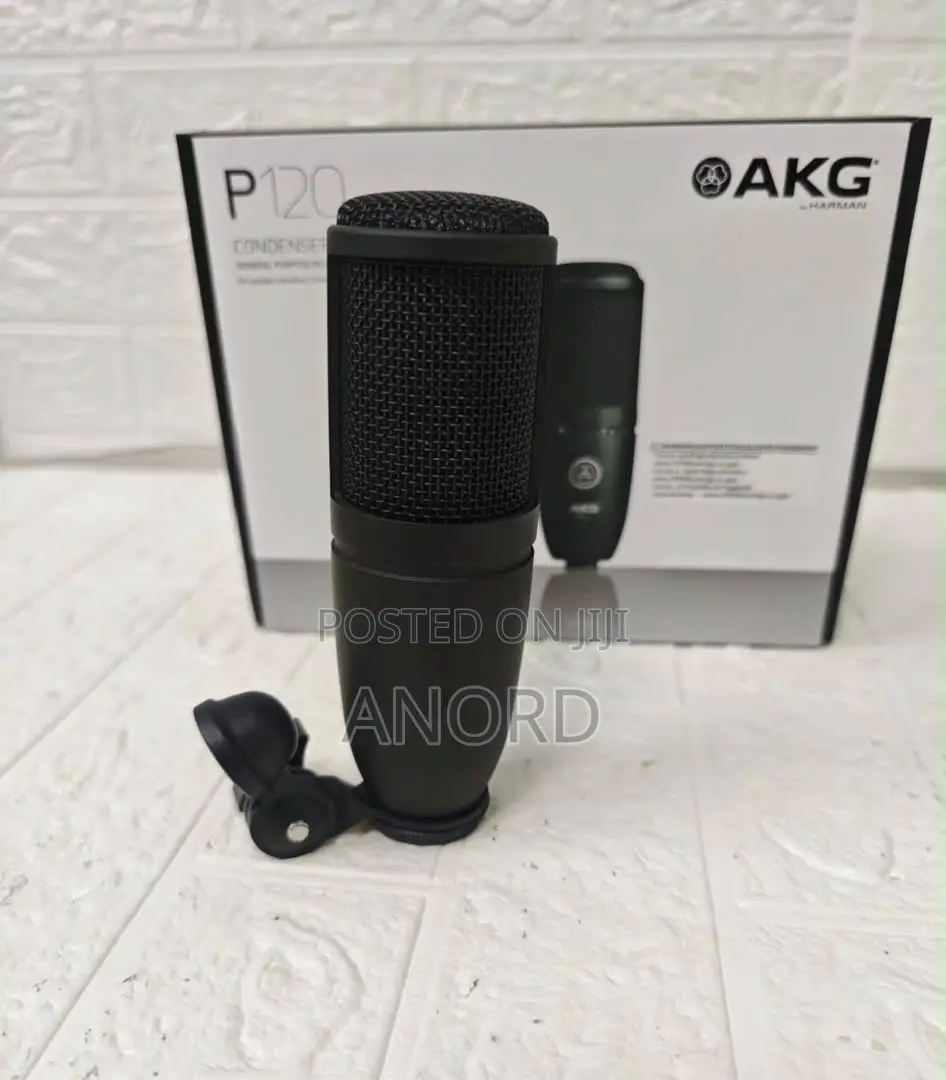 AKG P120 Professional Condenser Studio Microphone for Recording