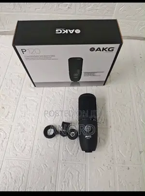 AKG P120 Professional Condenser Studio Microphone for Recording