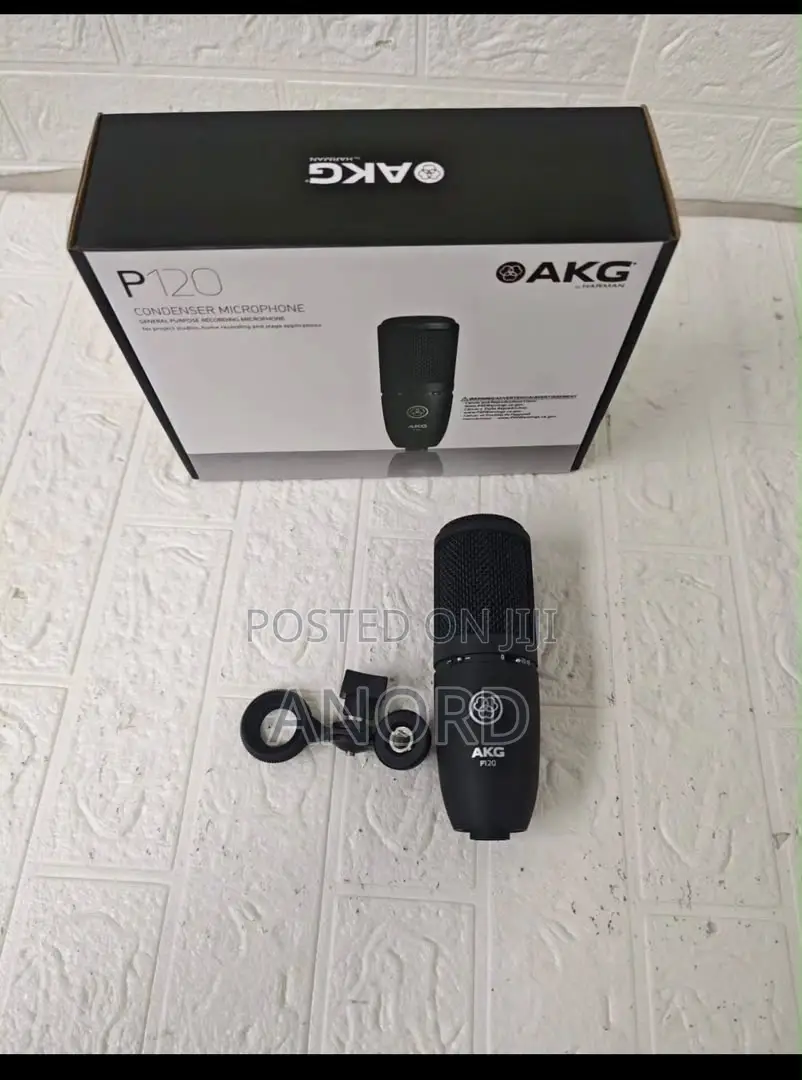 AKG P120 Professional Condenser Studio Microphone for Recording