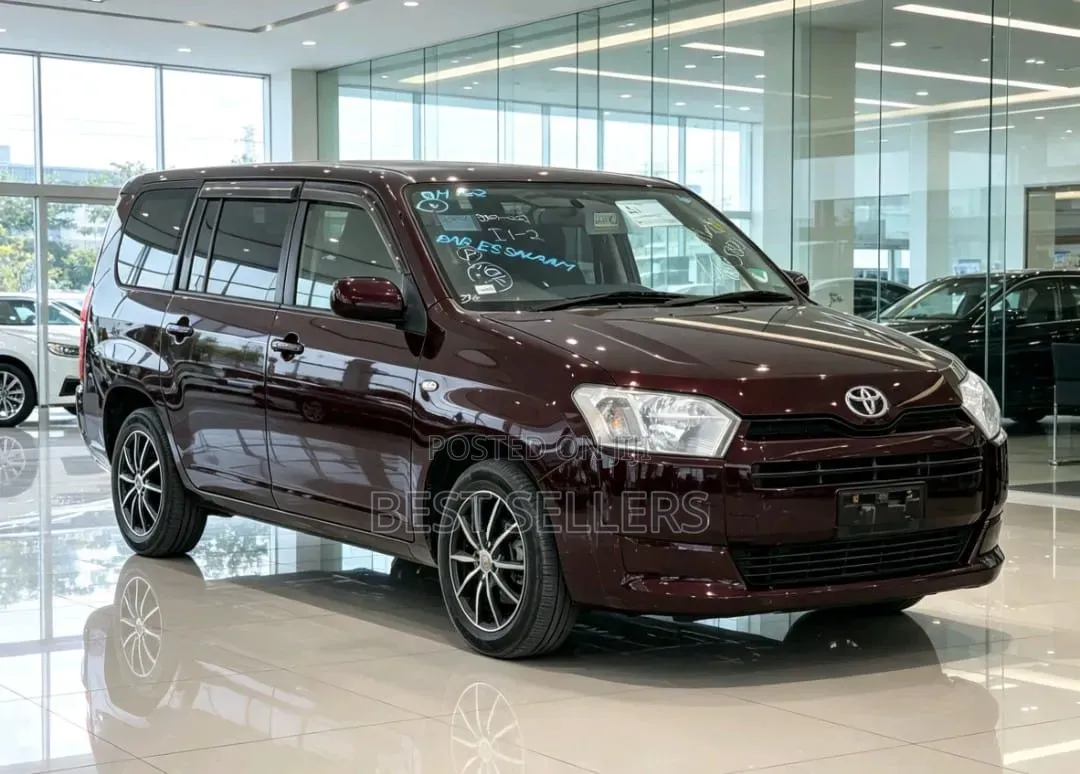 Toyota Probox 2015 Maroon