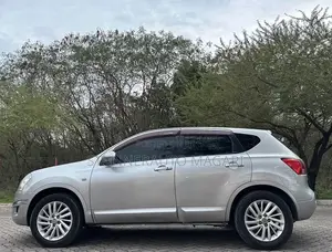 Nissan Dualis 2010 Silver