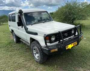 Toyota Land Cruiser 2002 Pearl