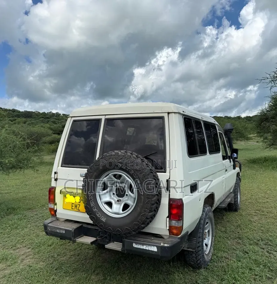 Toyota Land Cruiser 2002 Pearl