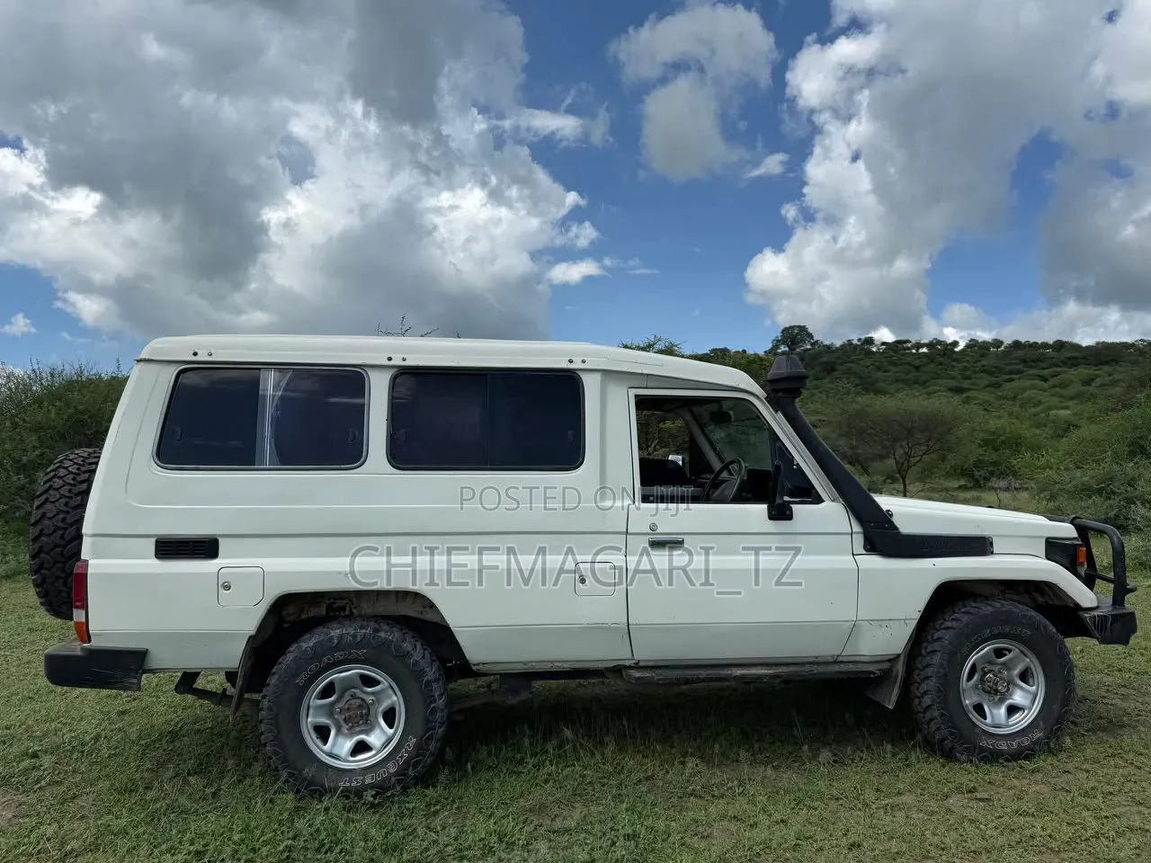 Toyota Land Cruiser 2002 Pearl