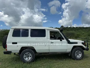 Toyota Land Cruiser 2002 Pearl