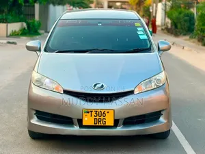 Toyota Wish 2008 Gray