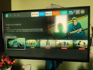 Fire Stick
