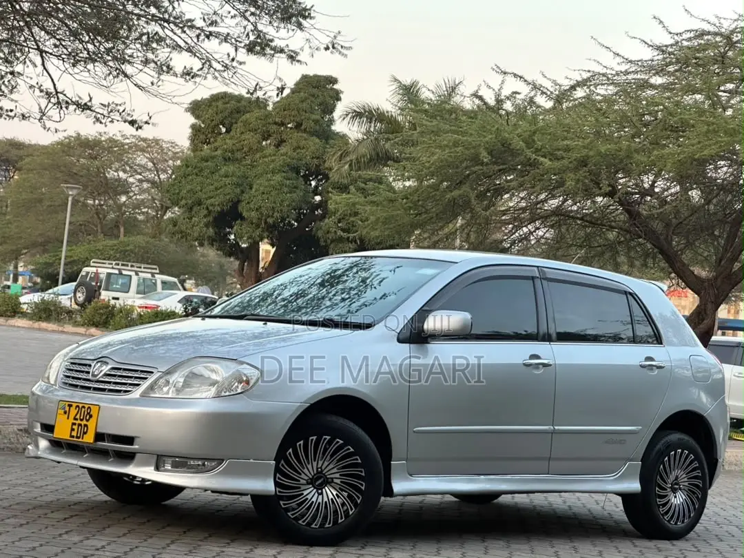 Toyota Allex 2003 Silver