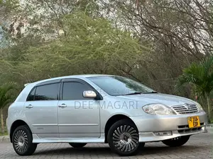 Toyota Allex 2003 Silver