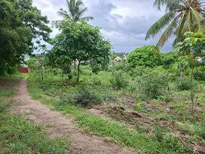 Kiwanja Kikubwa Kinauzwa Madale Kisauke