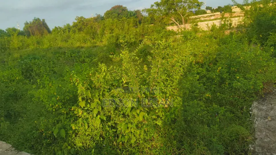 Kiwanja Kinauzwa