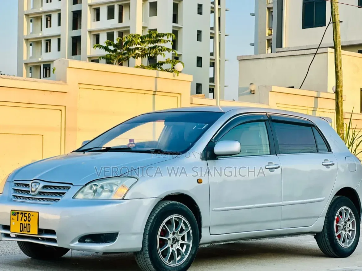 Toyota Allex 2004 Silver