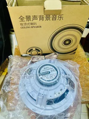 Ceiling Speaker