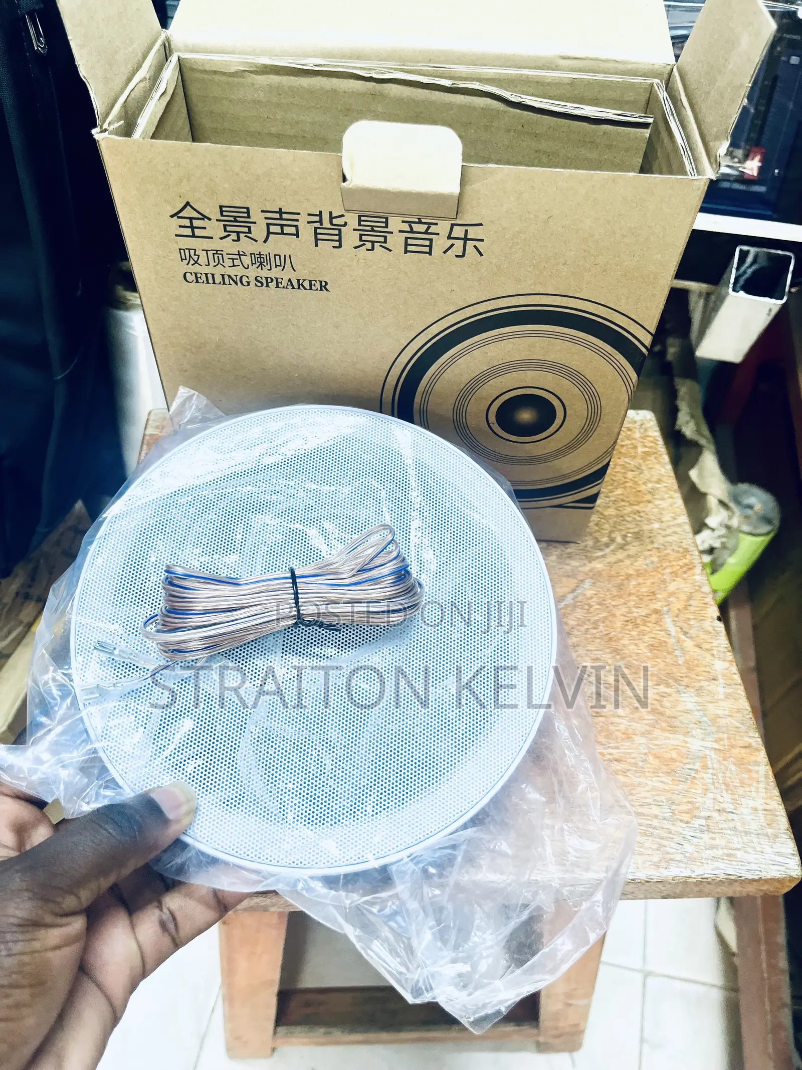Ceiling Speaker