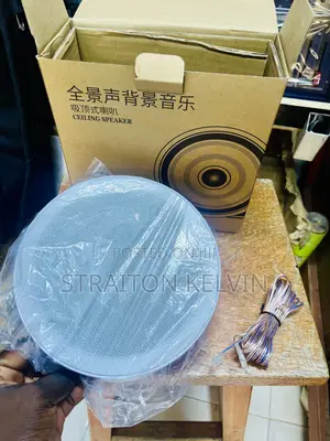Ceiling Speaker