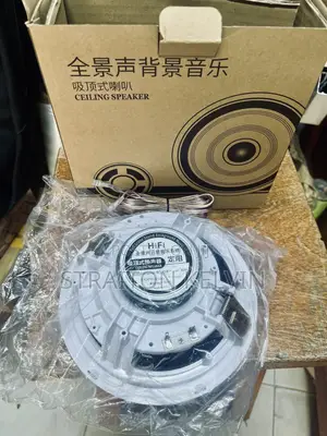 Ceiling Speaker