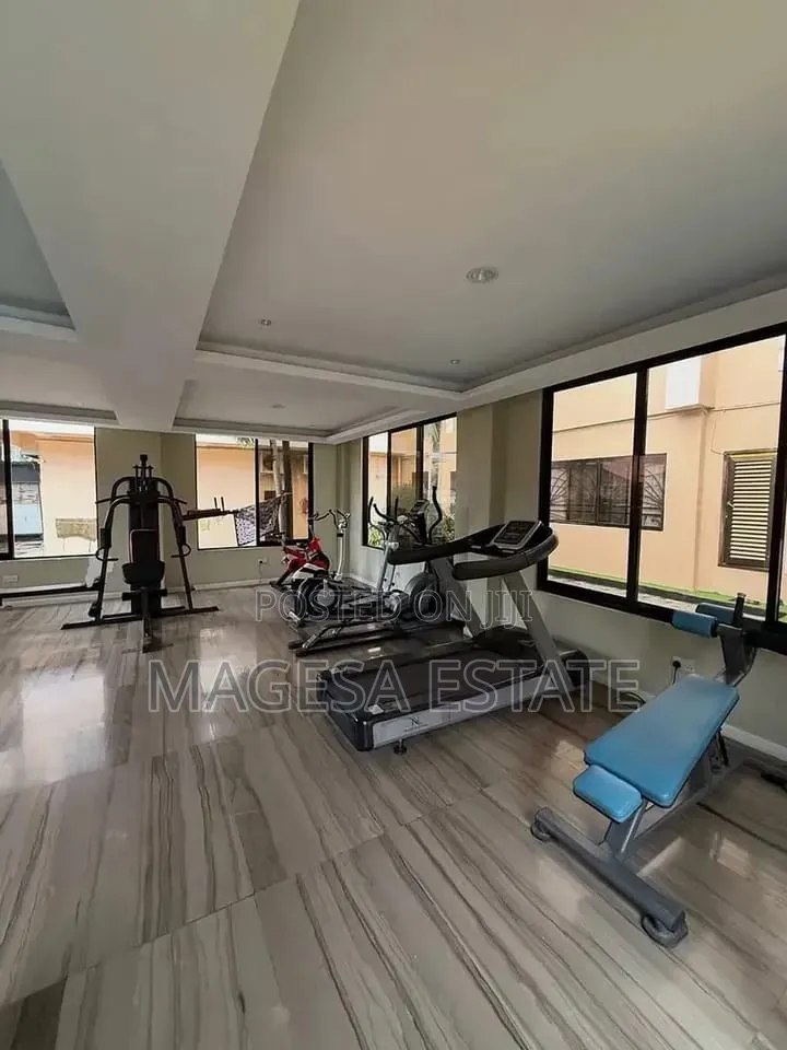 Furnished 3bdrm Apartment in Masaki for rent