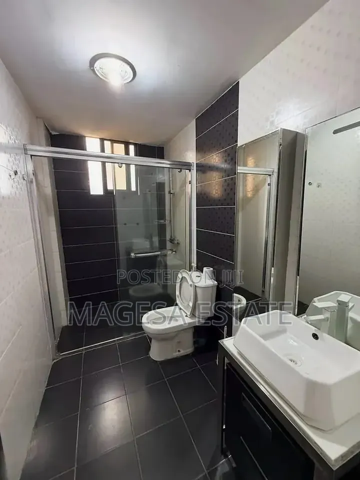 Furnished 3bdrm Apartment in Masaki for rent