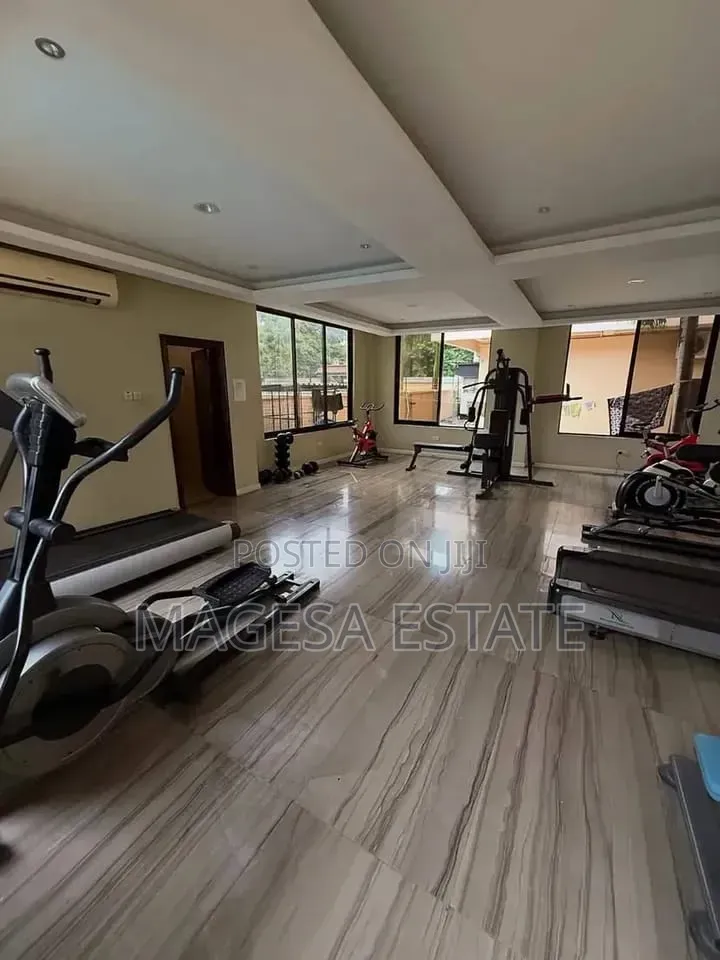 Furnished 3bdrm Apartment in Masaki for rent